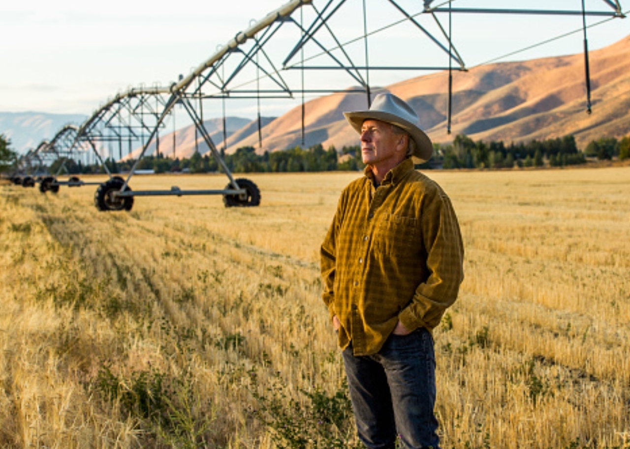 Male rancher standing in field with irrigation system in background